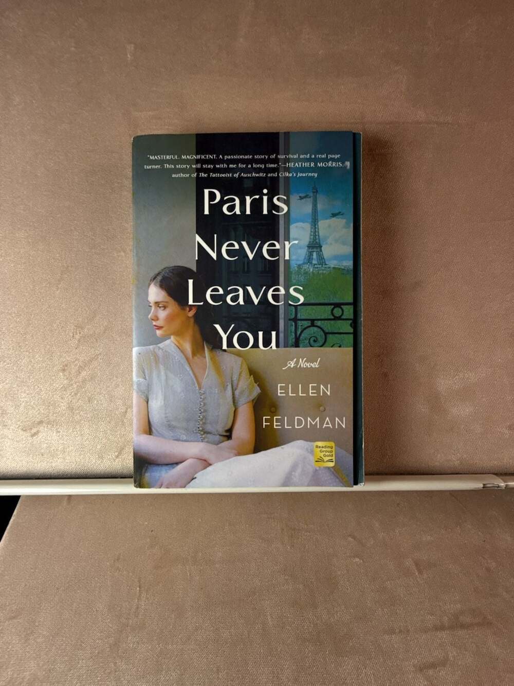 Paris Never Leaves You: A Novel by Ellen Feldman (Paperback)